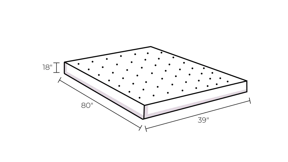 Performance Moisture Wicking Protector Dimensions