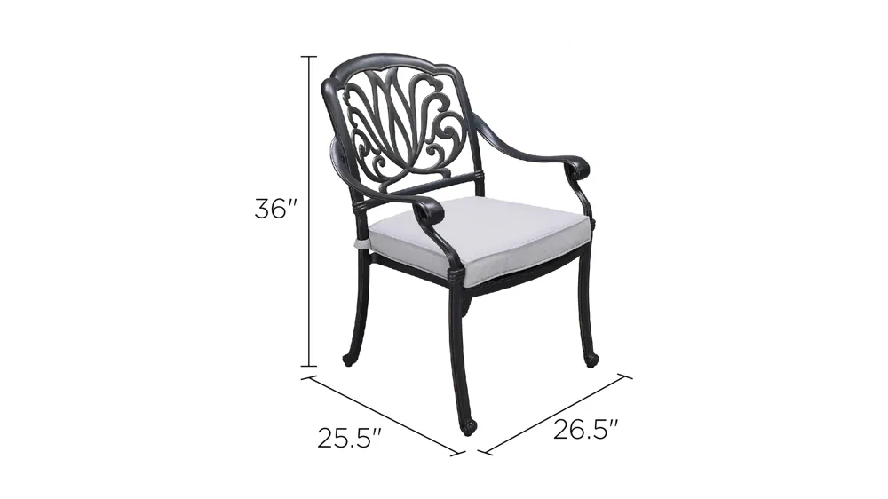 Geneva Outdoor Arm Chair, Set of 2 Dimensions