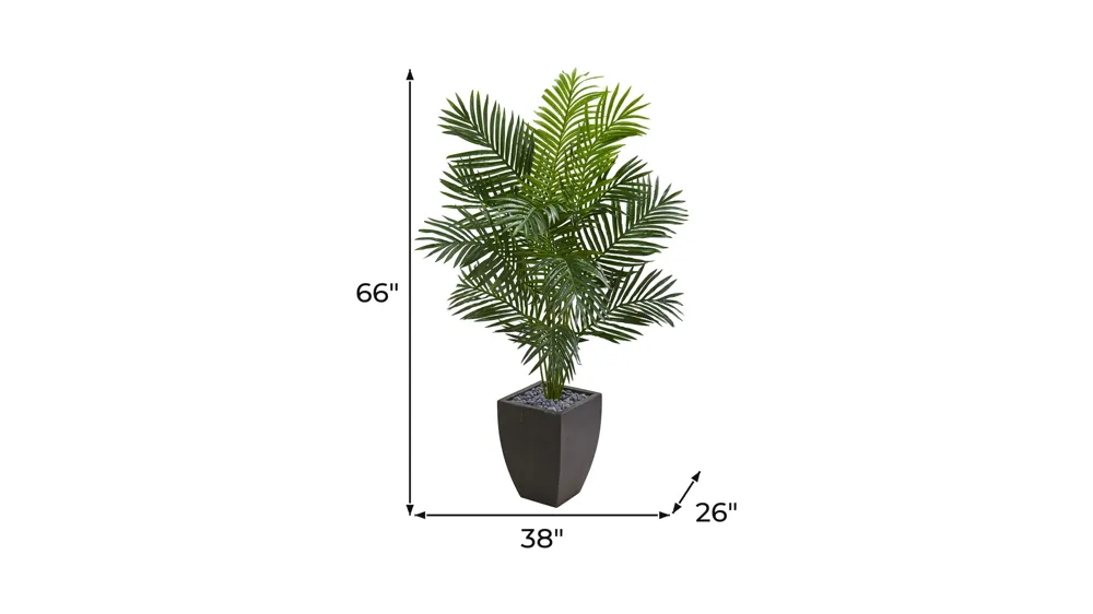 5.5ft. Paradise Artificial Palm Tree in Planter Dimensions