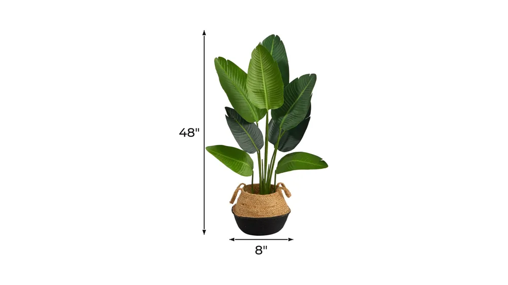 4' Travelers Palm Artificial Tree in Woven Planter Dimensions