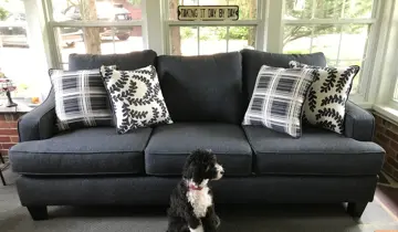 Dark gray sofa with patterned pillows in a sunroom, small dog sitting in front