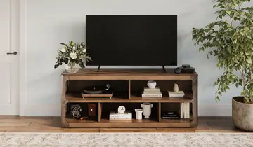 Living room with large TV on a wooden console, plant, and rug