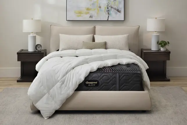Bedroom with bed, black mattress, white duvet, nightstands, lamps, and rug