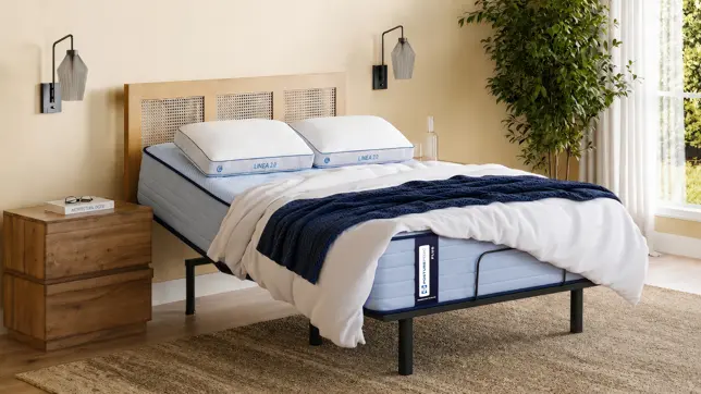 Bright bedroom featuring an adjustable bed with a light blue mattress, cane headboard, wooden nightstand, and green plant