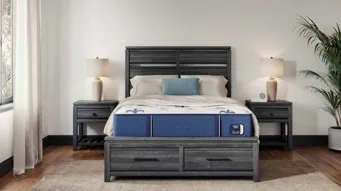 Stearns & Foster Studio Medium Euro Pillow Top Mattress | Raymour