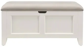 Kylie Youth Lift-Top Storage Bench in...