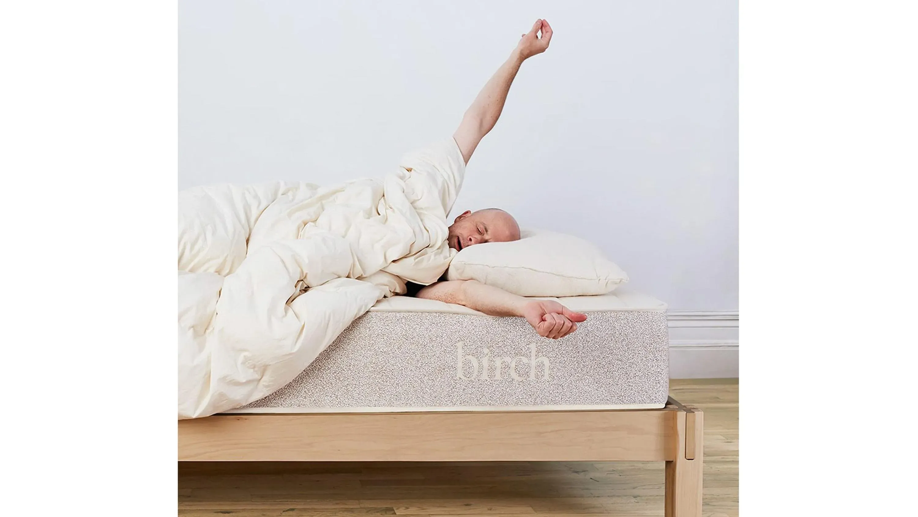 Birch Organic Pillow | Raymour & Flanigan