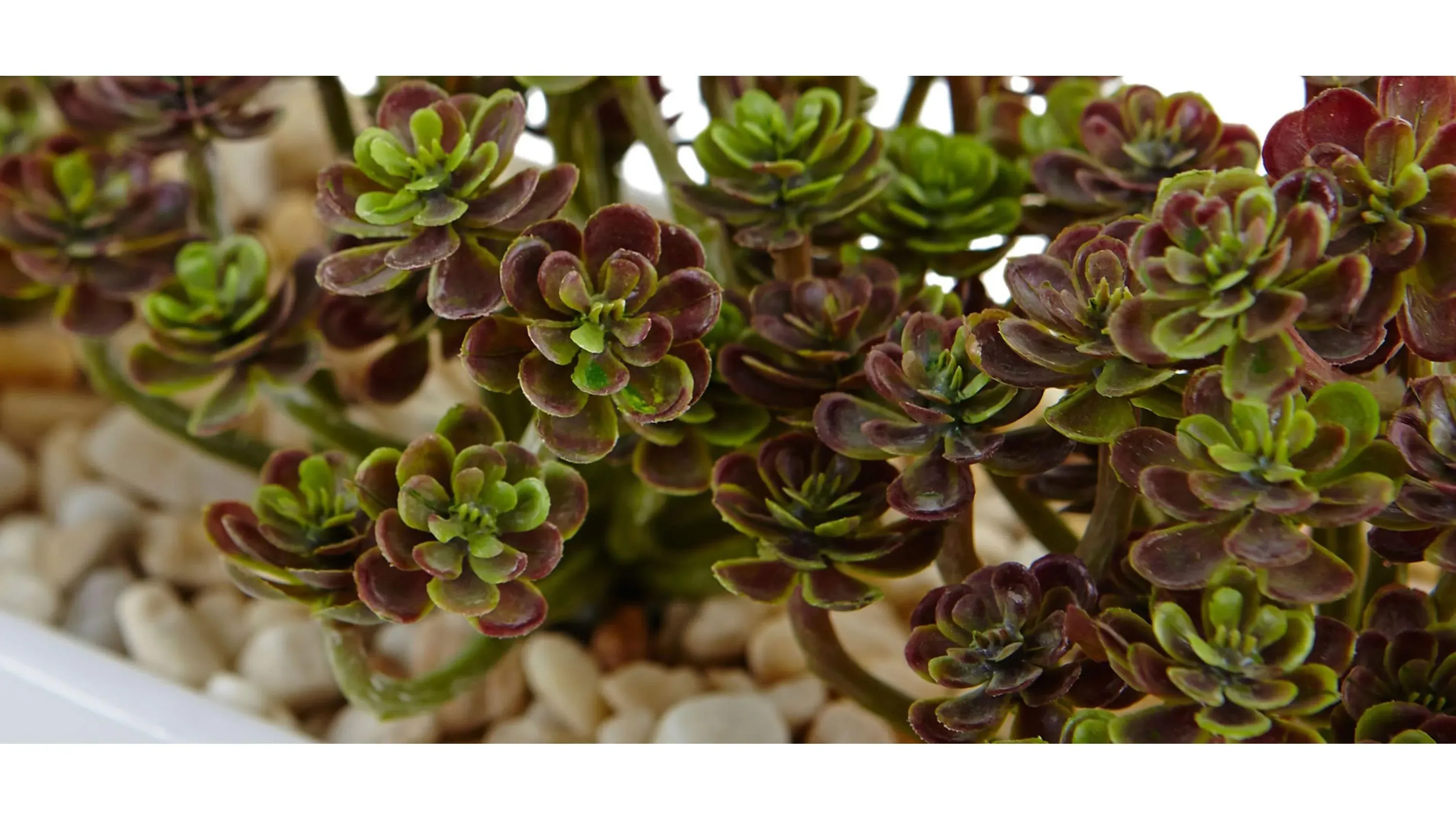 7.75in. Sedum Artificial Arrangement in Rectangular Planter