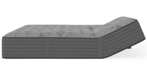 King Koil Elite Brindley Split Head Plush Mattress | Raymour