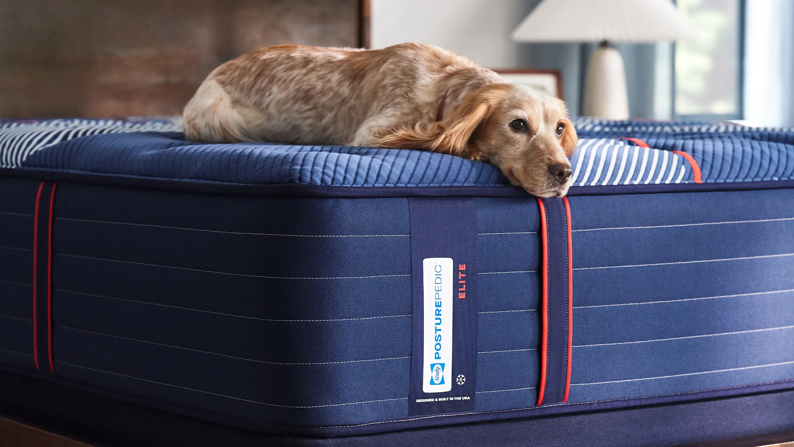 Sealy Posturepedic Elite Albany II Firm Mattress - Thumbnail 2