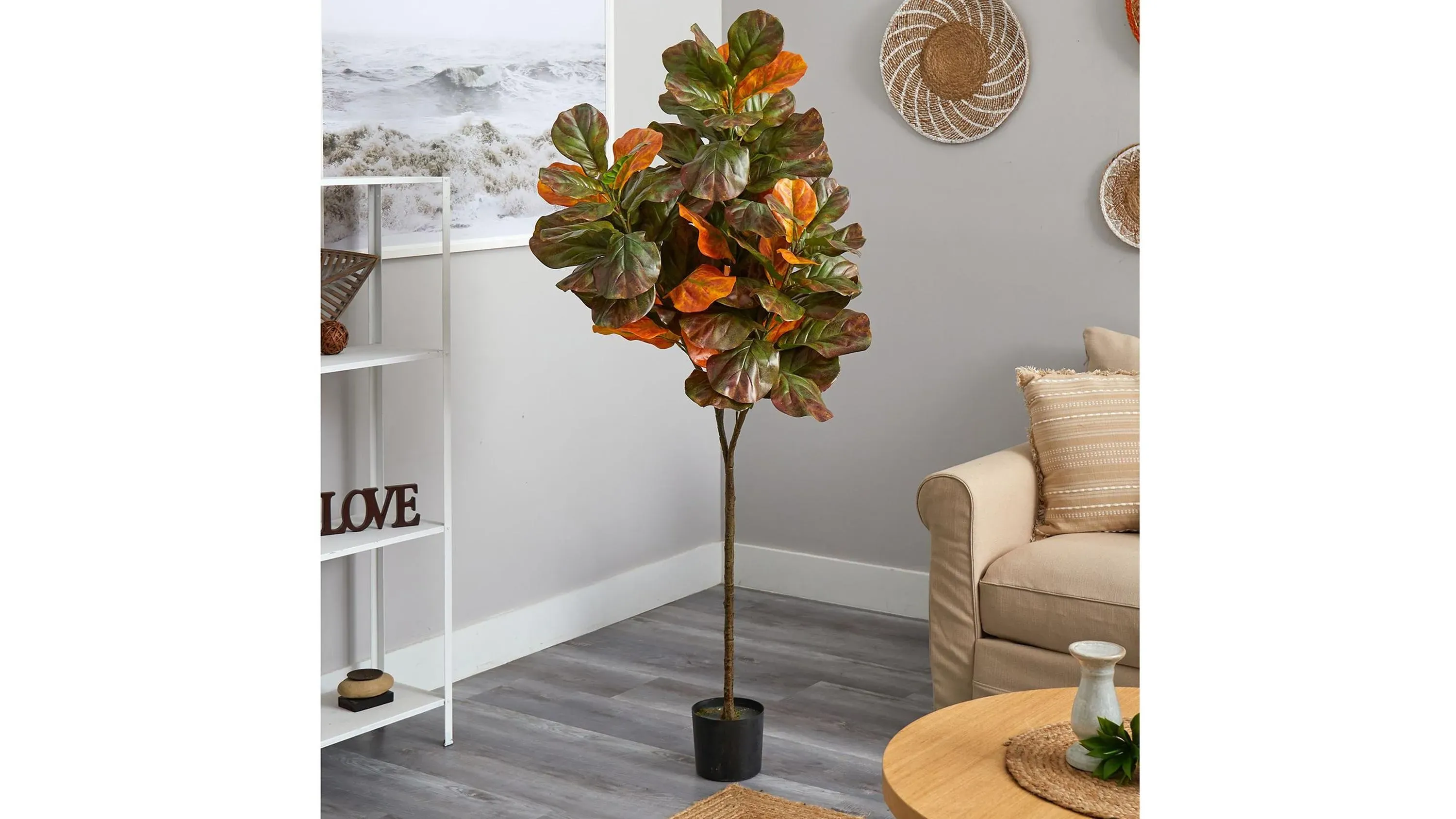 Fall foliage 6ft Fiddle Leaf Tree