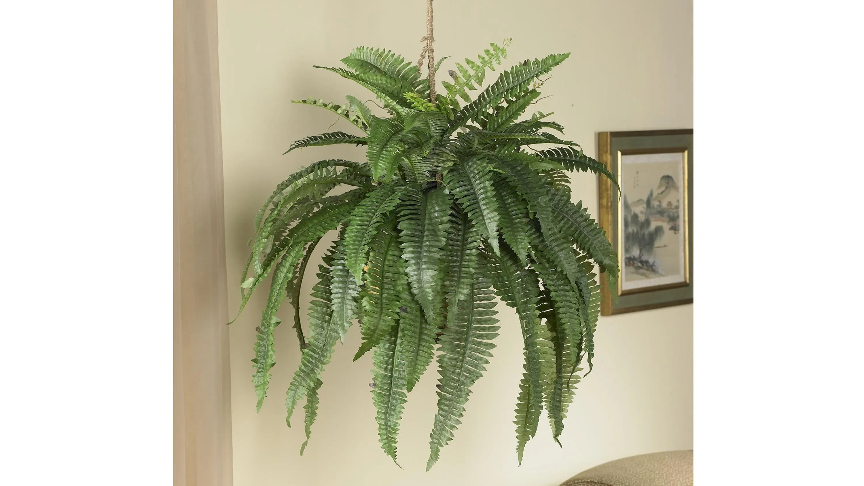 marble king pothos Pothos Marble Queen Houseplant with Planter - Medium (5"-10" tall) Mustard Planter