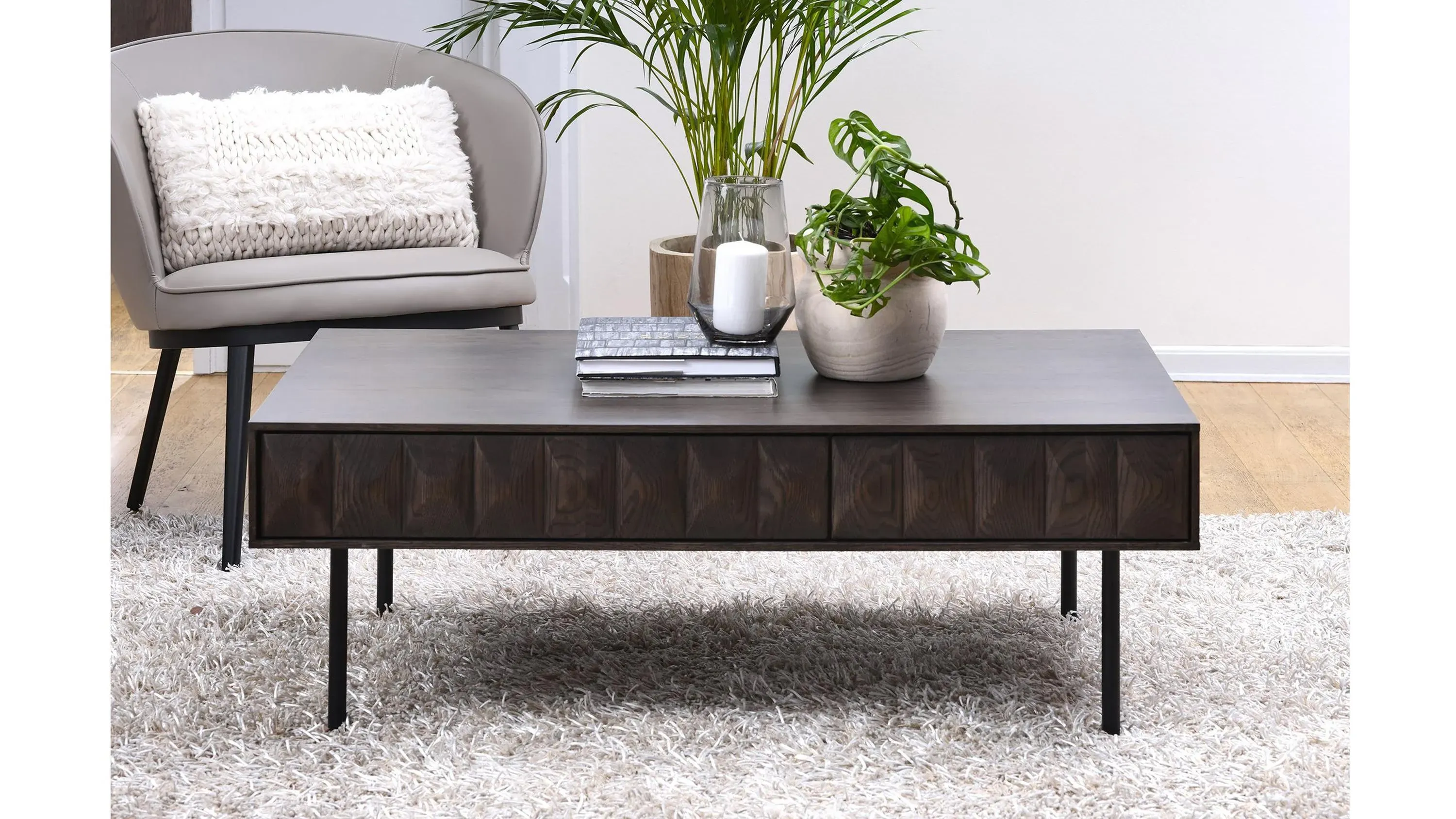 Ballena 2-Drawer Coffee Table | Raymour & Flanigan