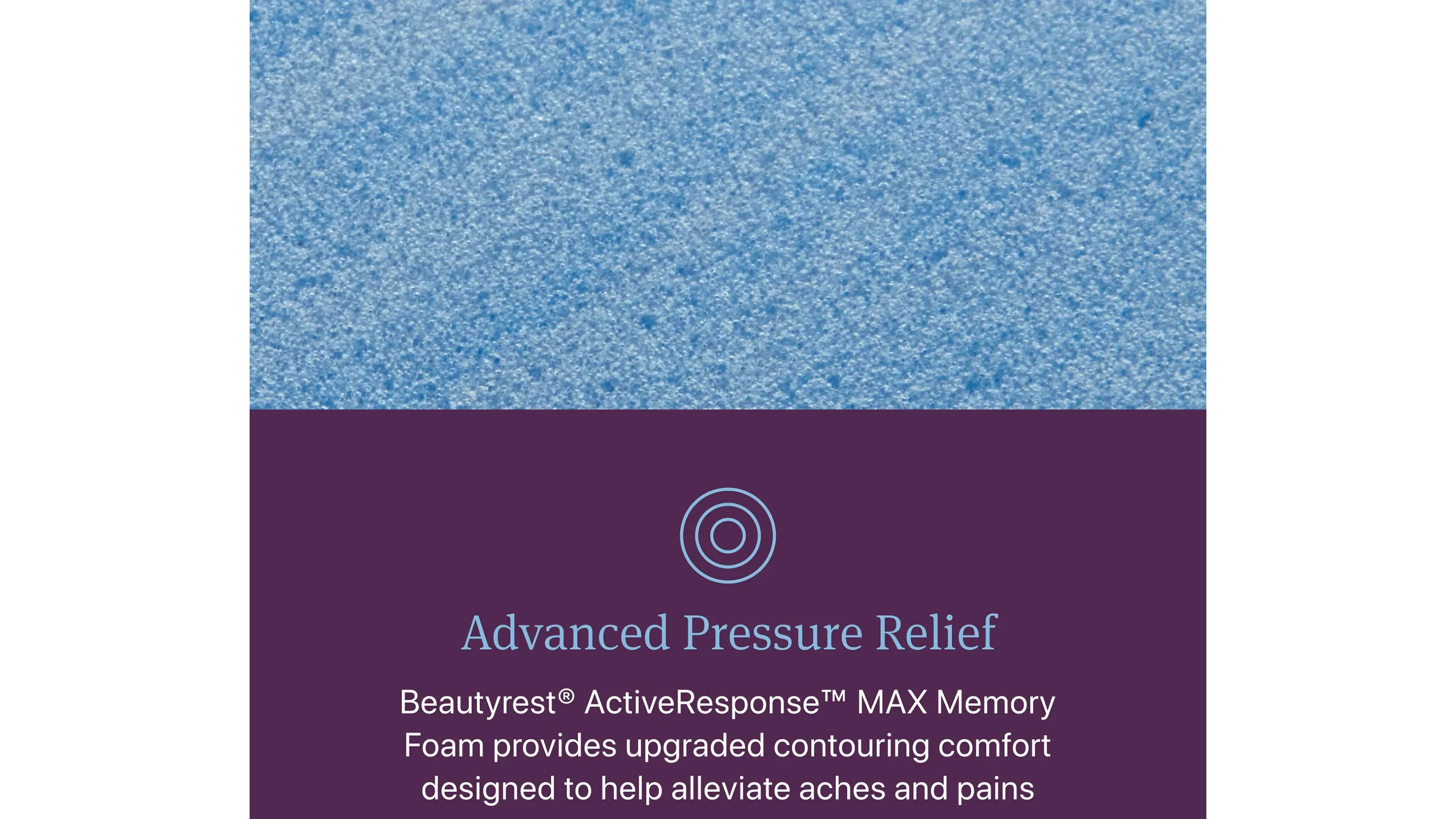 Beautyrest World Class Level Four Plush Mattress