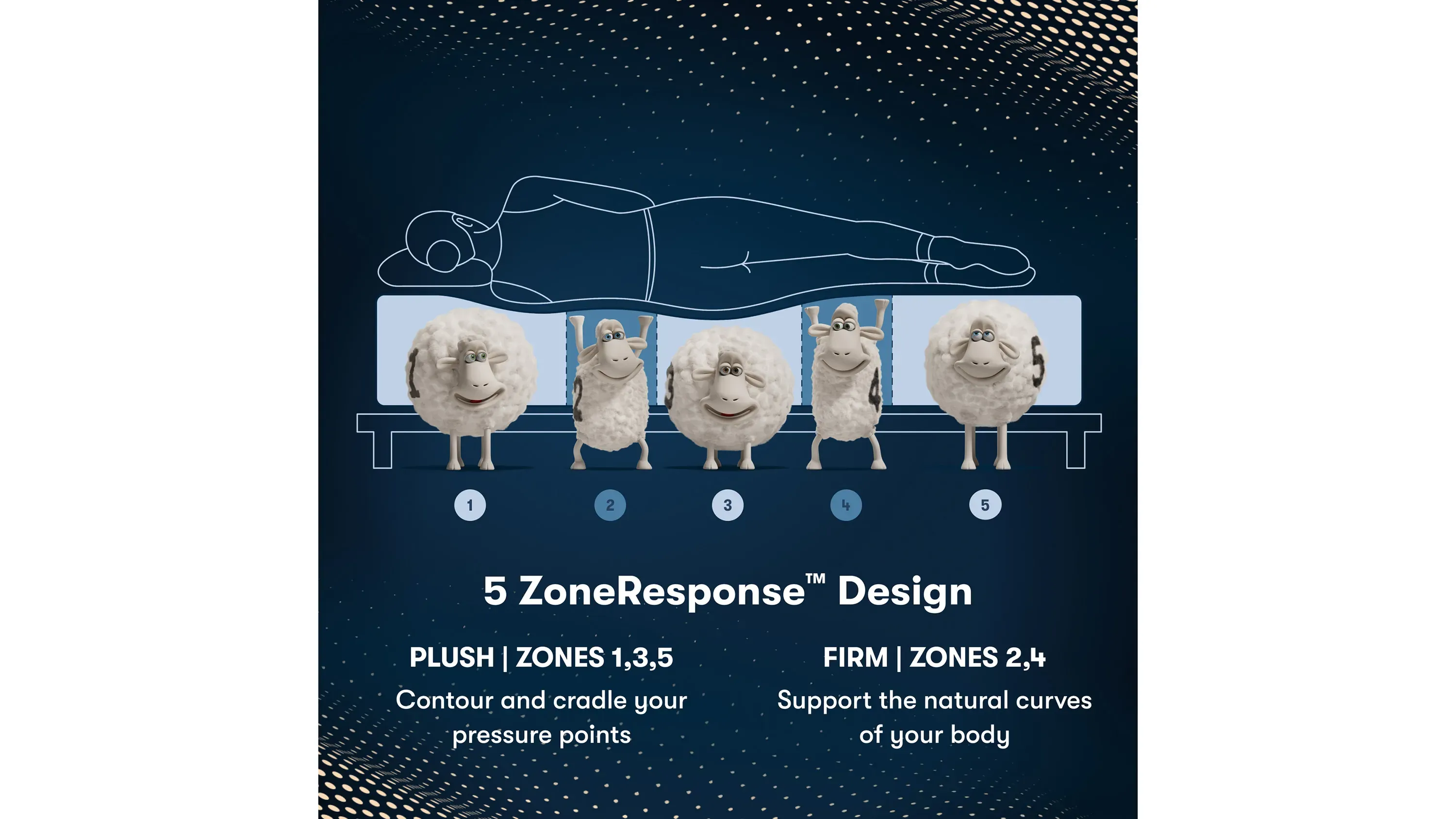  Mantra Comp Mサイズ CI027C055V048CNN2 Advance CertaDrive Constant Current LED Driver