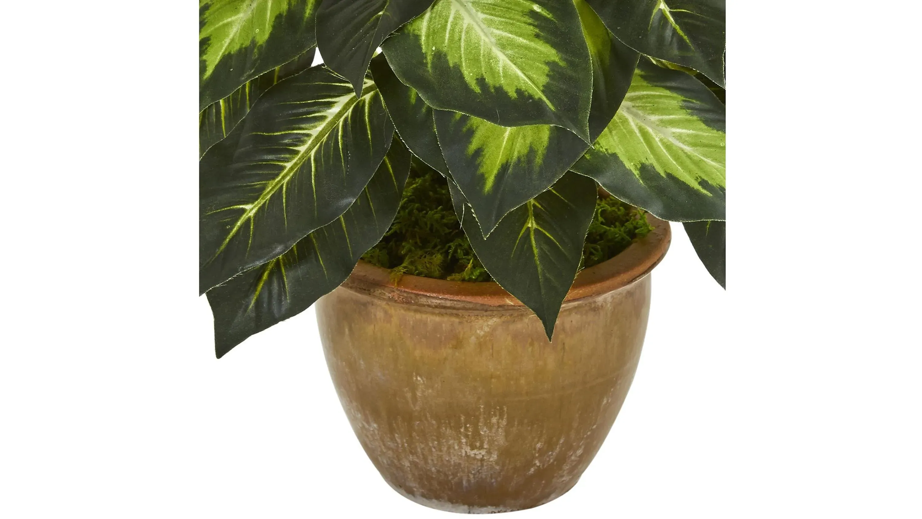 Dieffenbachia Artificial Plant in Ceramic Planter