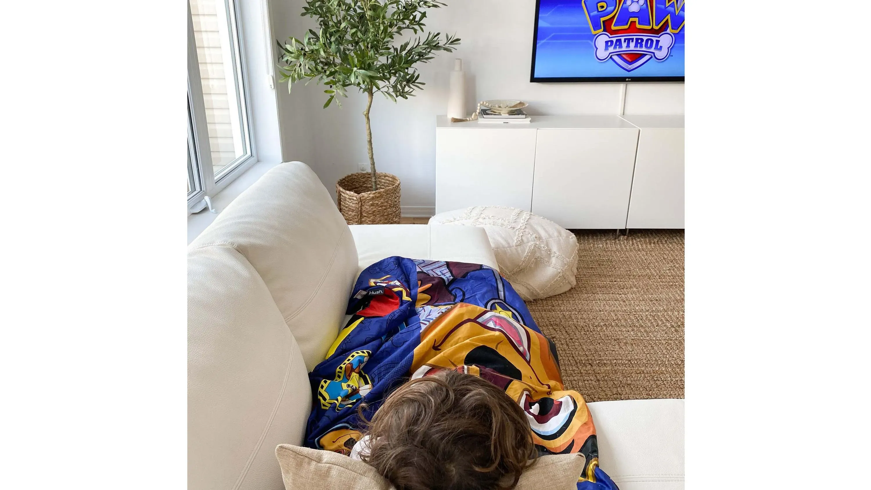 Paw Patrol Kids Weighted Blanket | Raymour & Flanigan