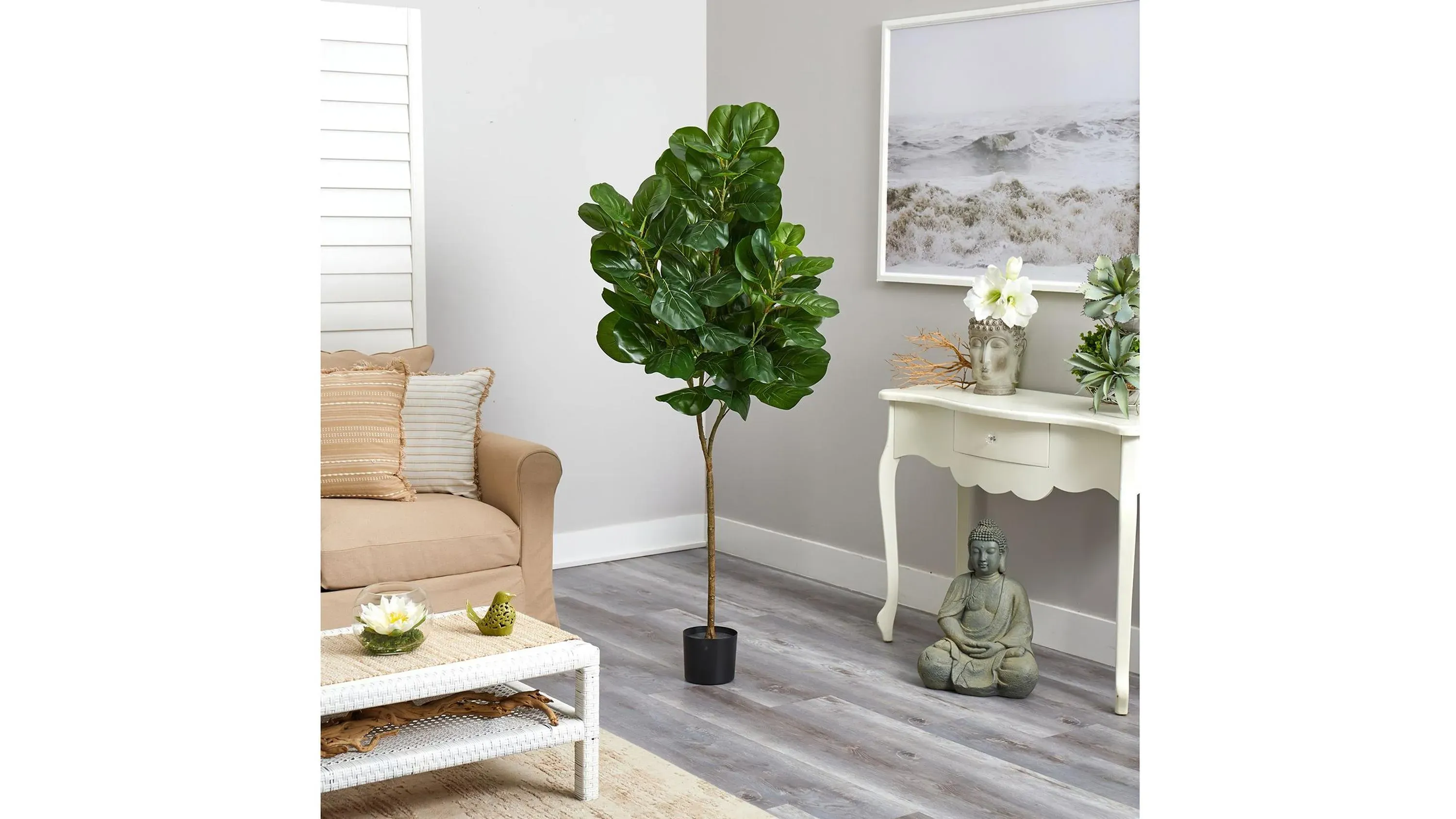 chinese money plant light requirements Chinese Evergreen Plant Care - How to Grow Aglaonema commutatum