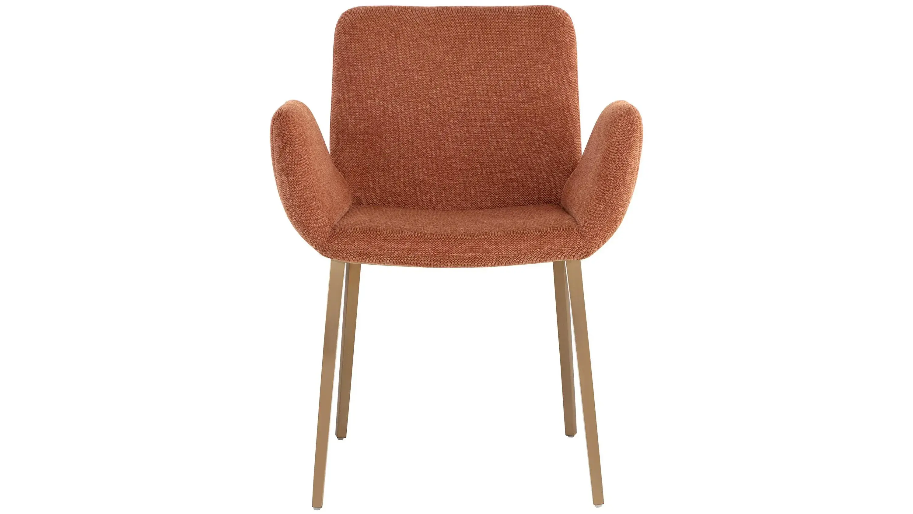 Lucano Dining Armchair