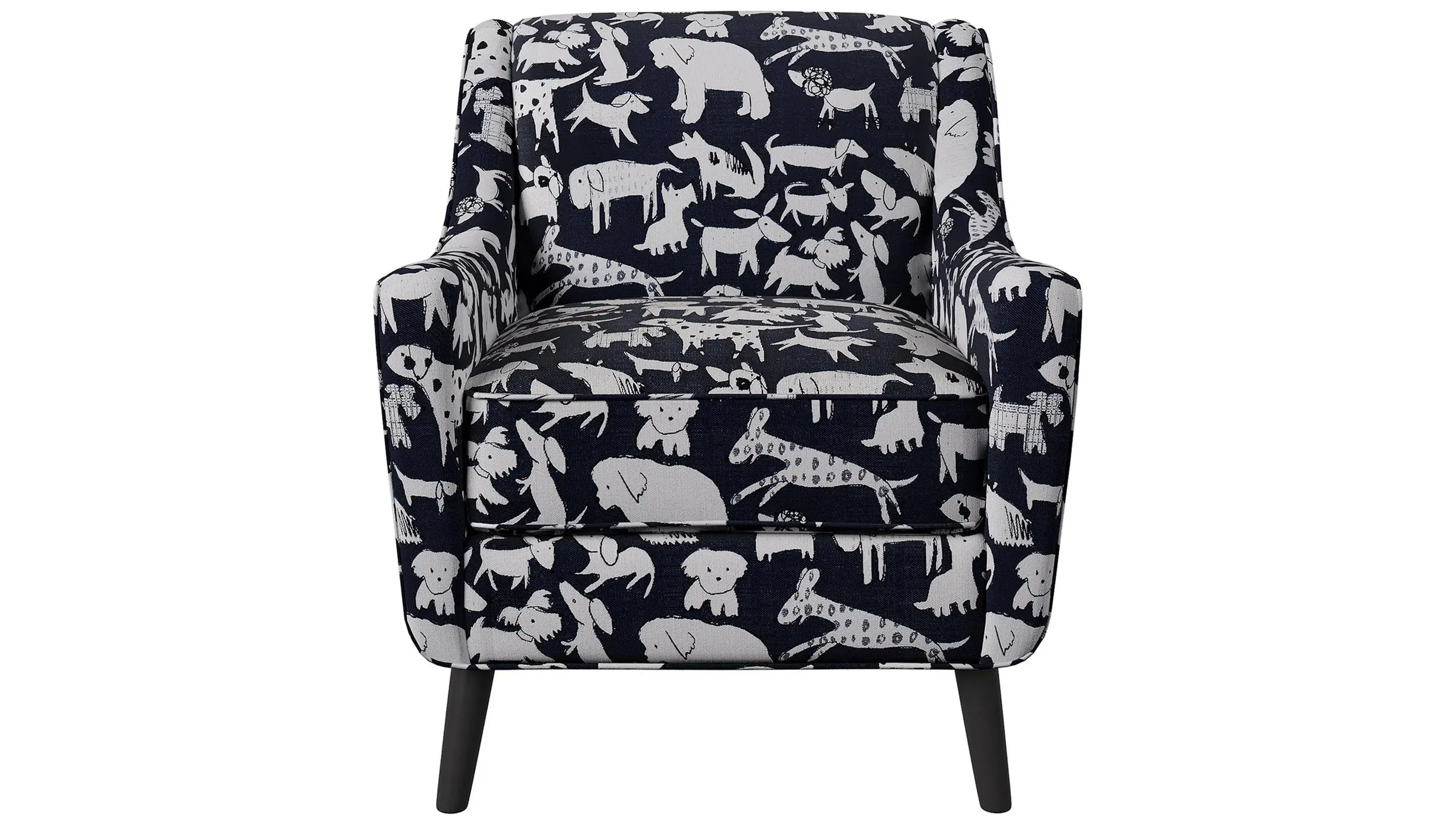 Raymour and flanigan dog chair deals