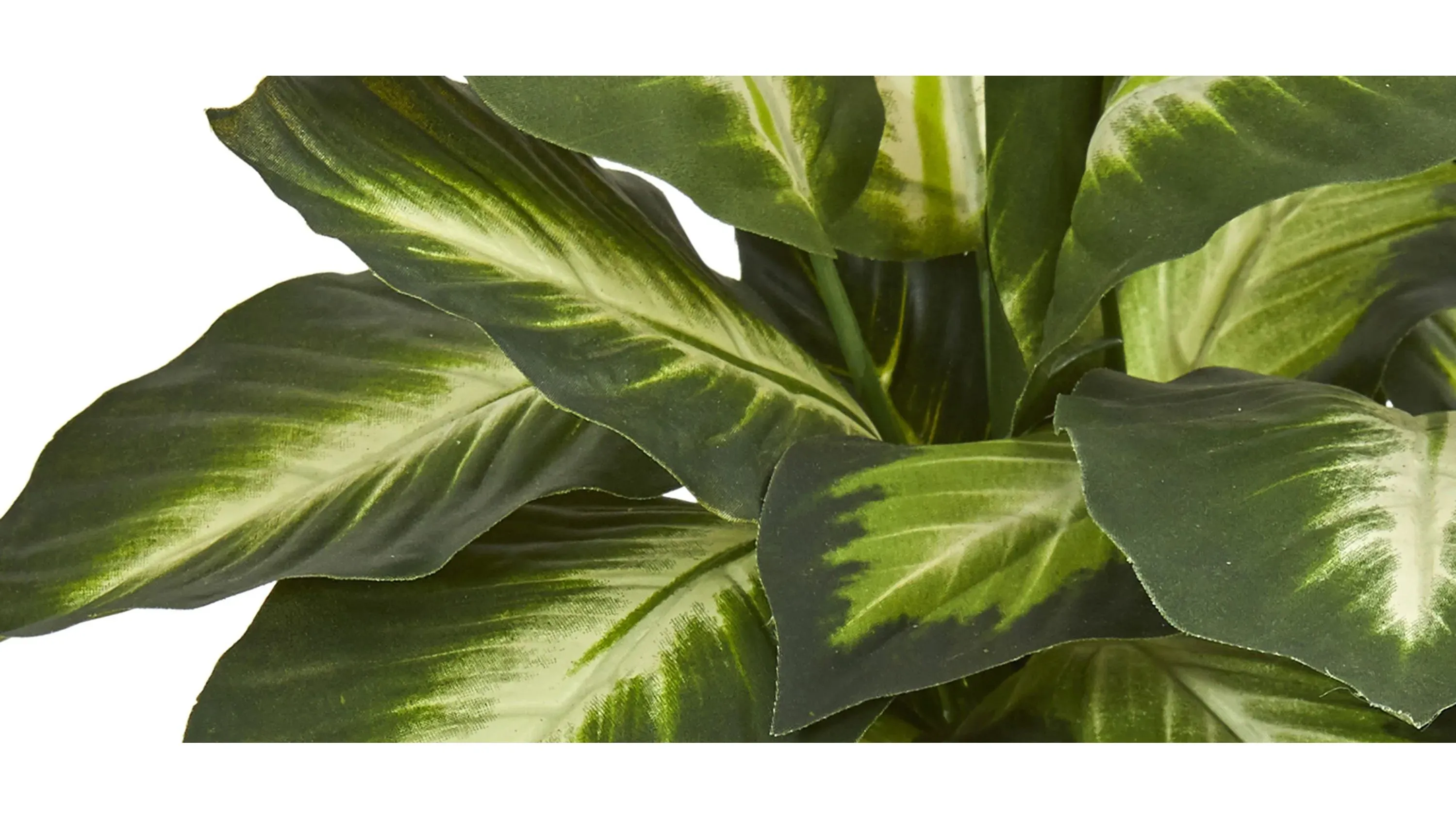 Dieffenbachia Artificial Plant in Ceramic Planter