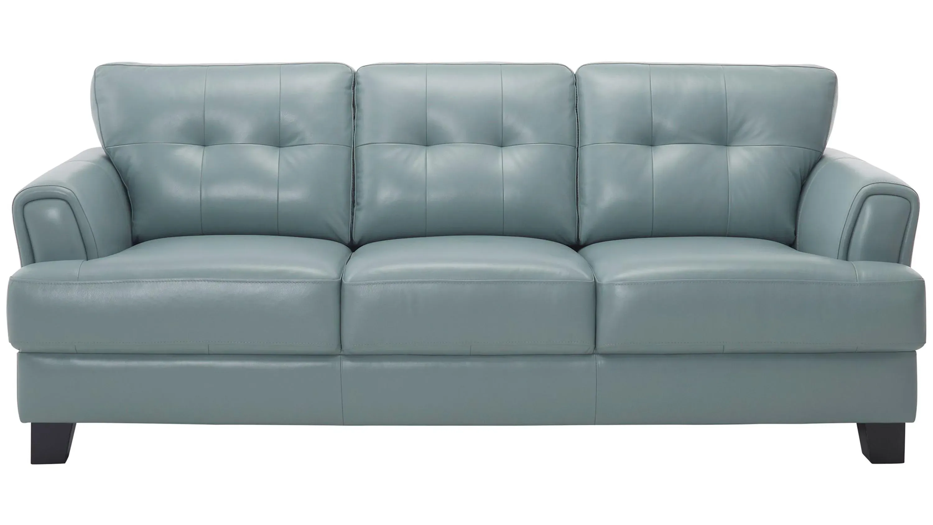 Diego Leather Sofa | Raymour & Flanigan