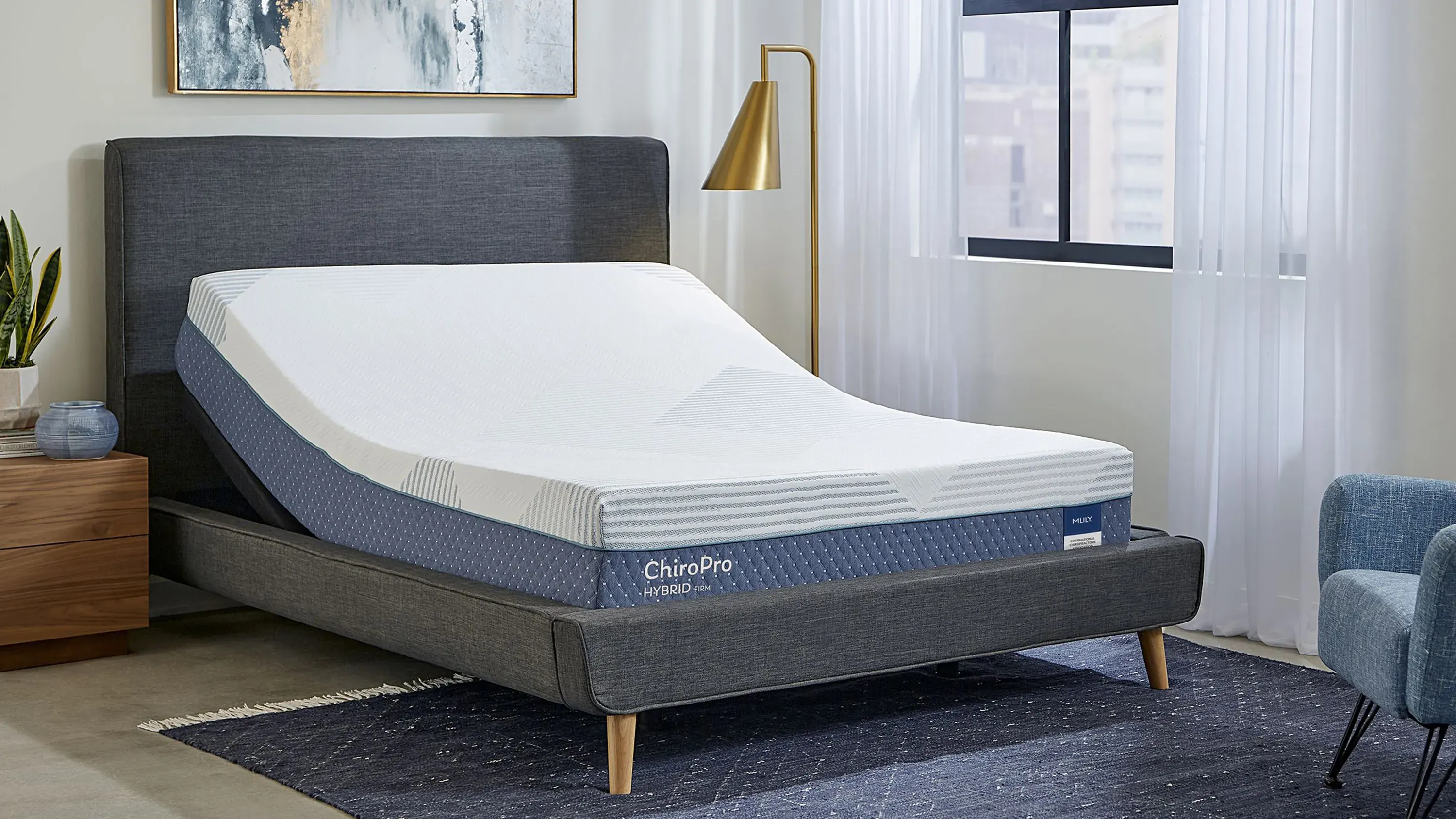 Chiro Pro Firm 13 Inch Hybrid Mattress | Raymour & Flanigan
