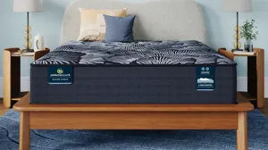 Serta Perfect Sleeper X Knox Plush Mattress | Raymour & Flanigan