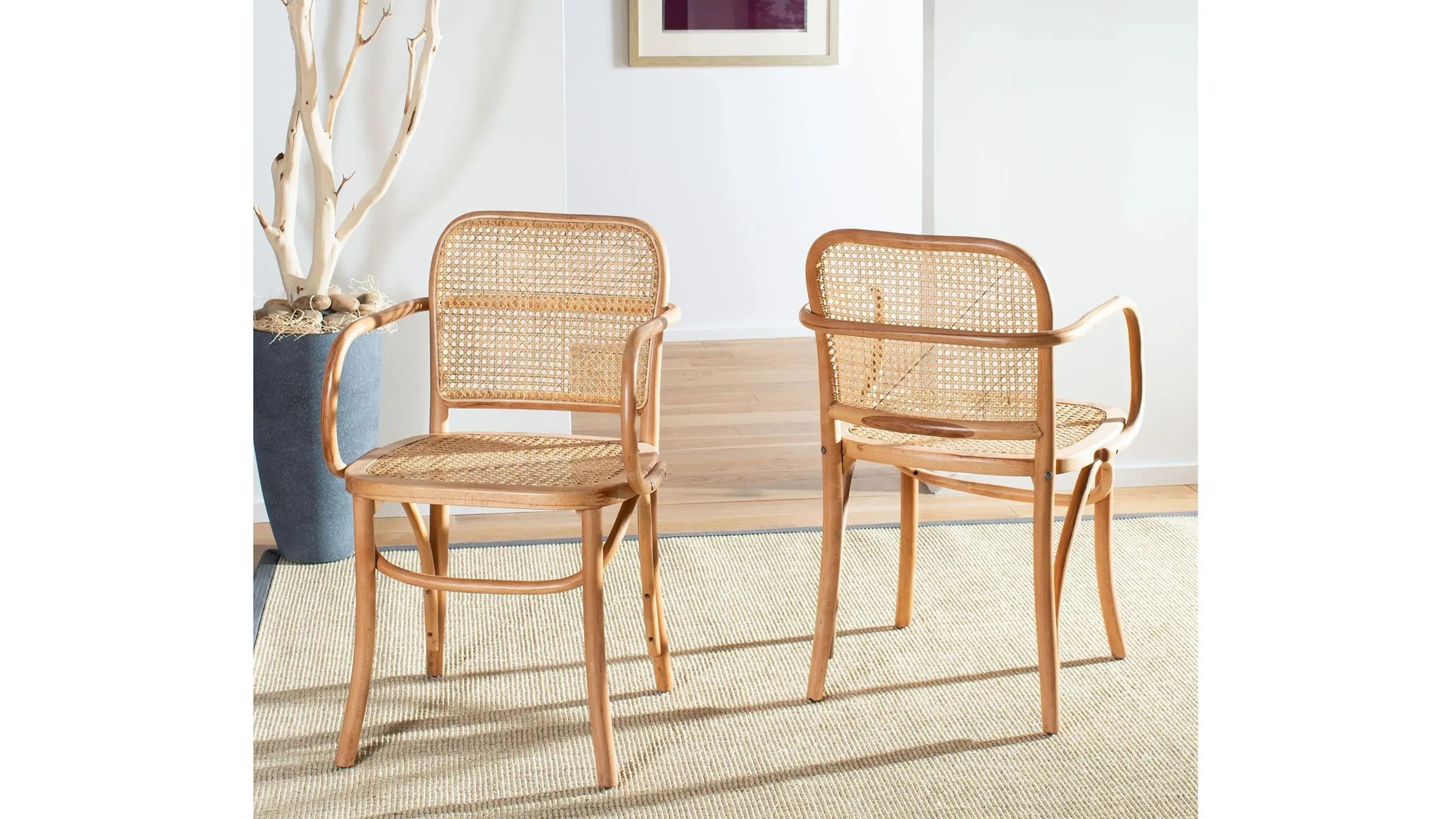 Cris Dining Chair | Raymour & Flanigan