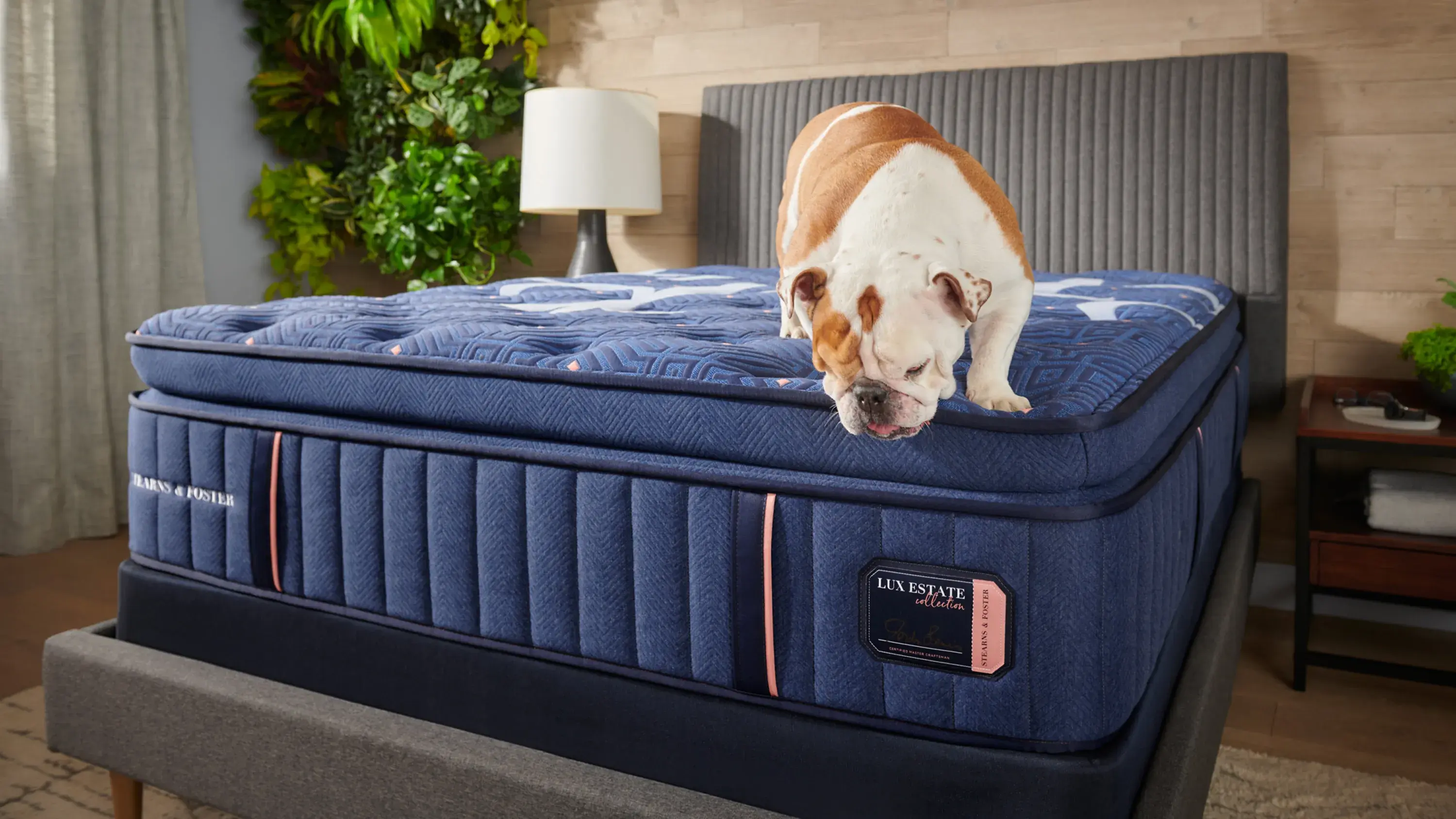 Stearns & Foster Lux Estate Elite Medium Pillowtop Split Cal King Mattress Set - Thumbnail 5