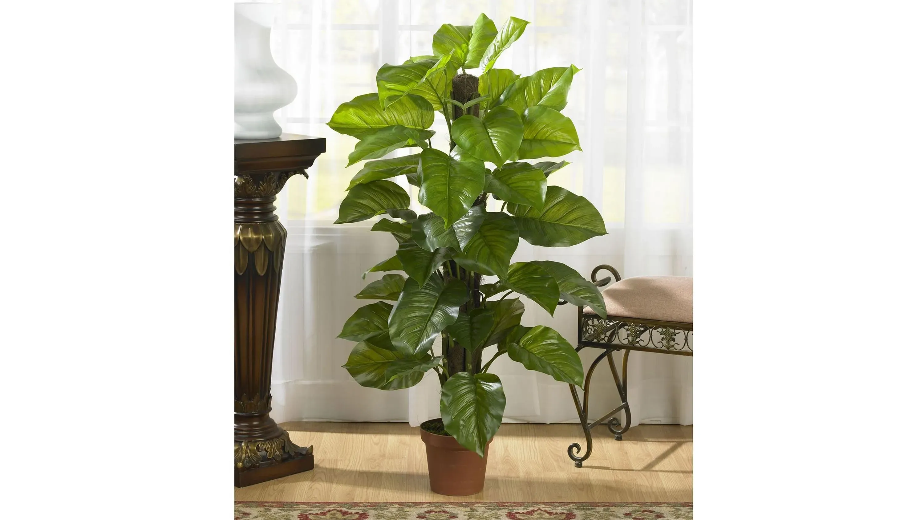 Large Leaf Philodendron Silk Plant | Raymour & Flanigan