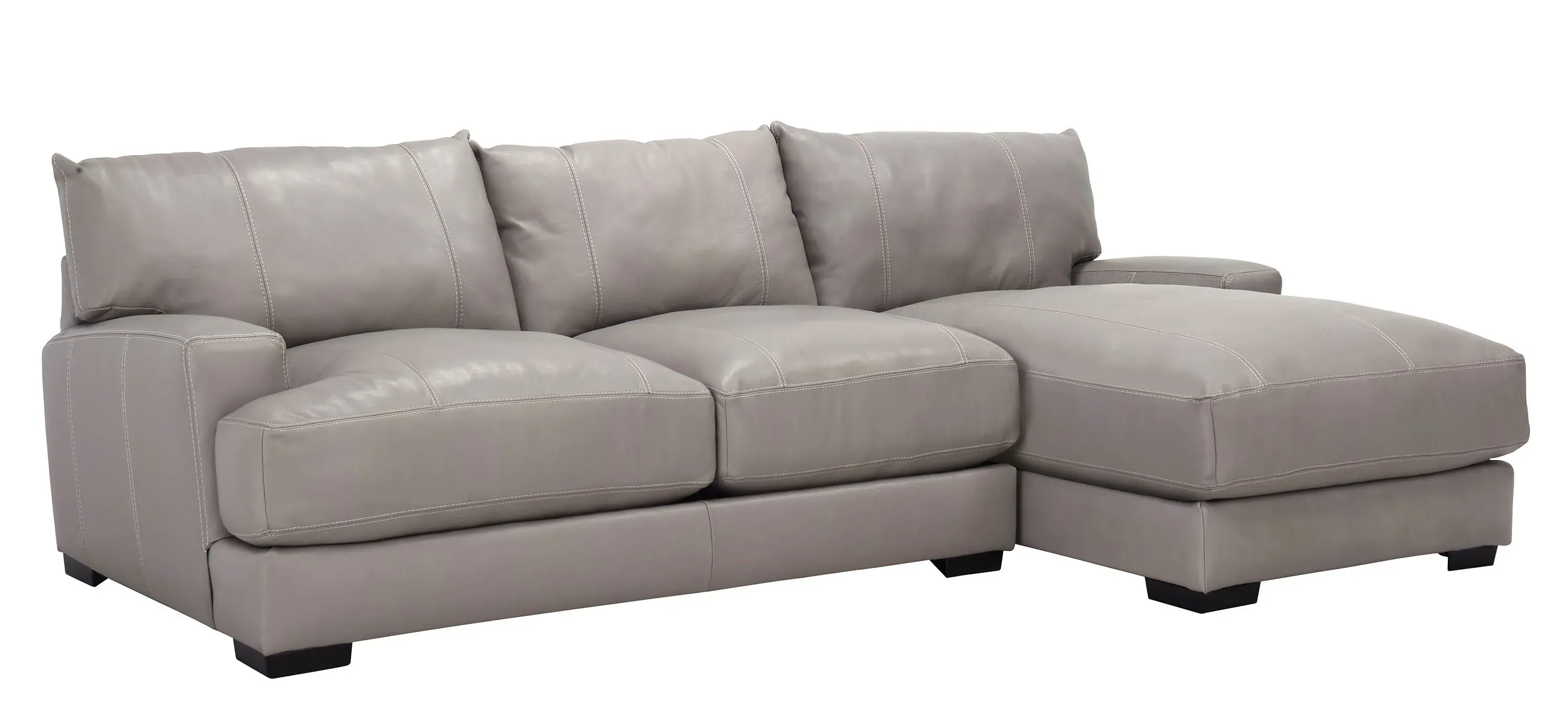 Myla 2-pc.Leather Sectional Sofa | Raymour & Flanigan