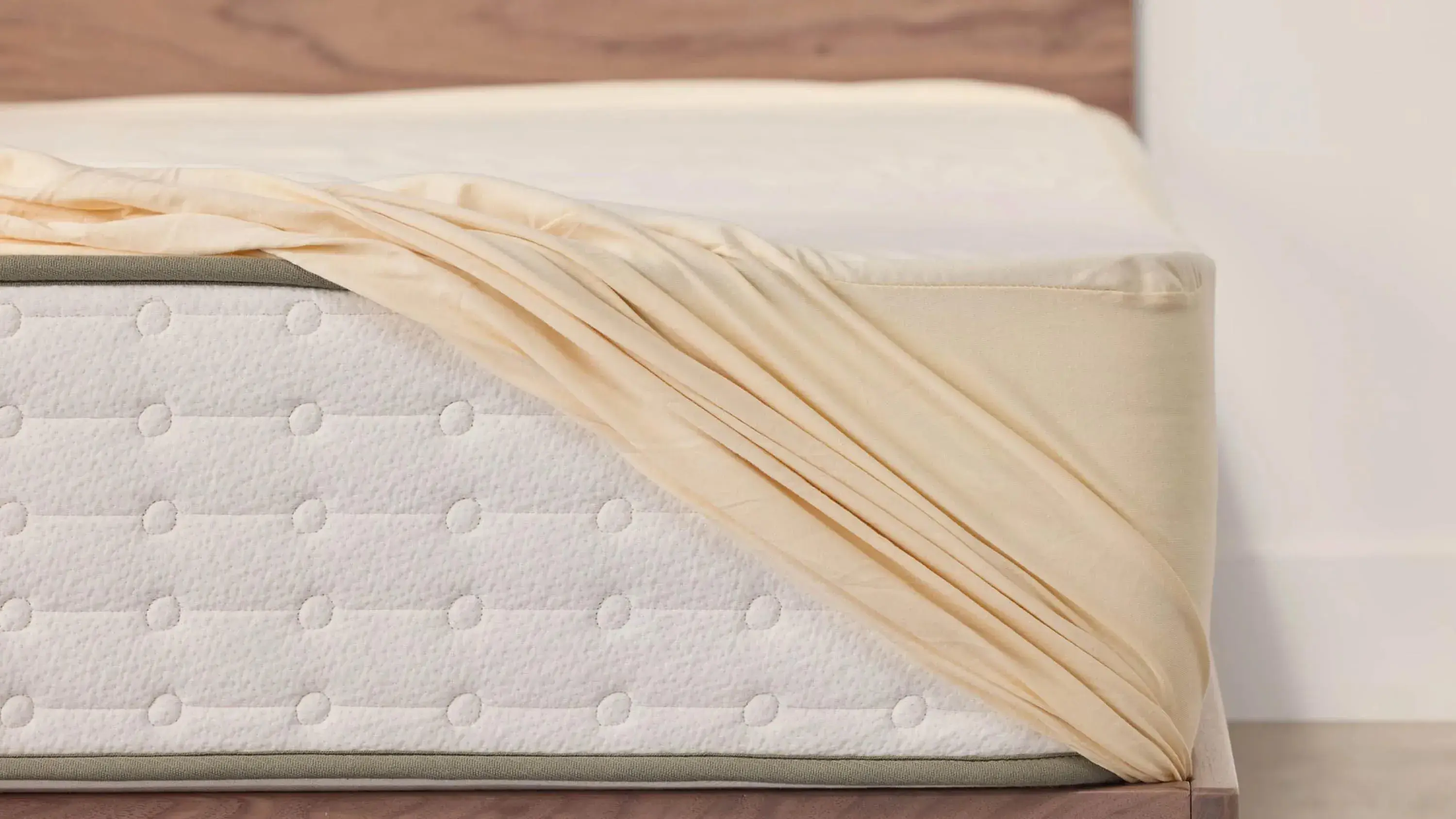 Avocado Green Mattress Mattress Protector - Thumbnail 2