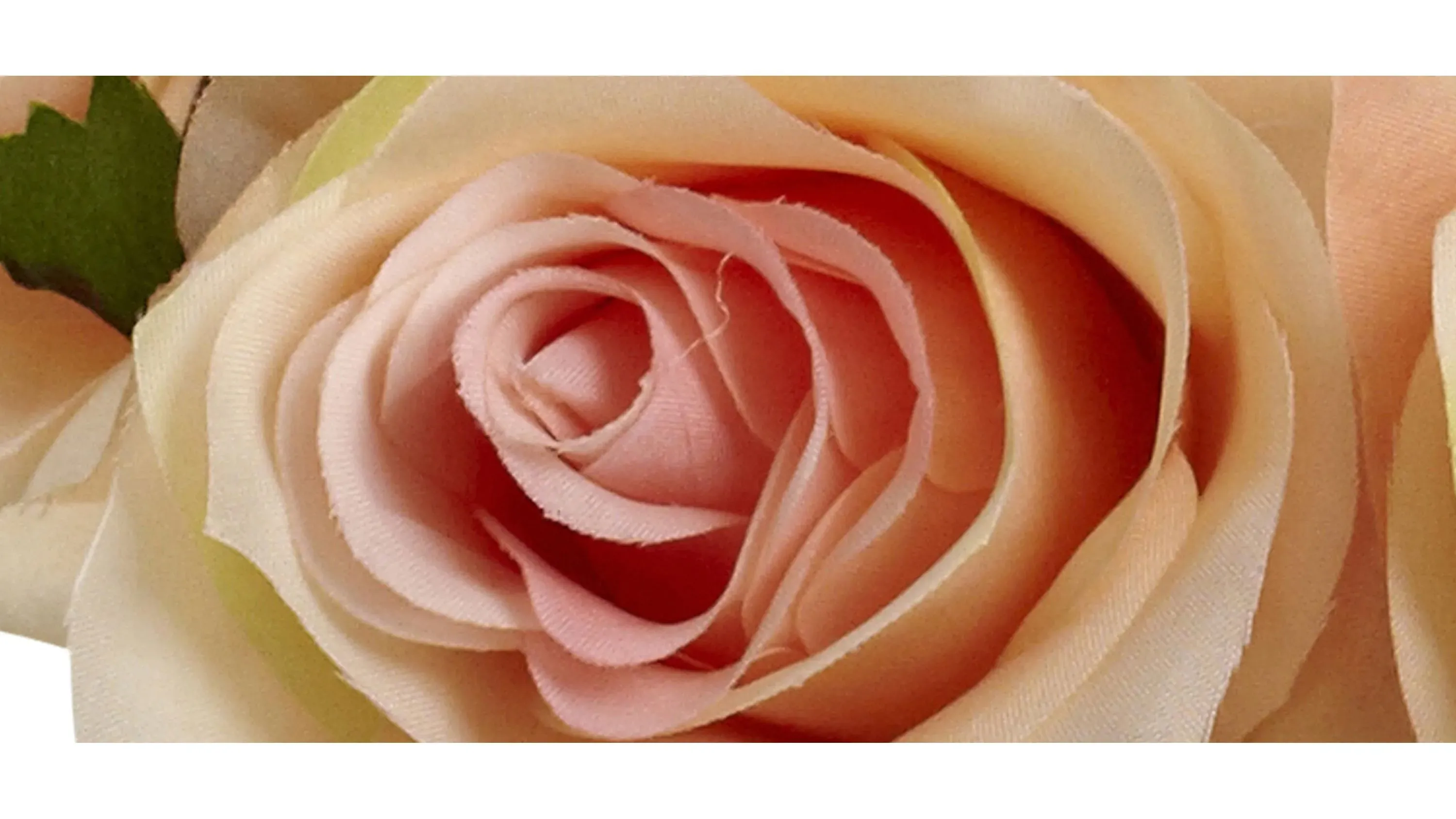 Peach Rose Arrangement with Vase
