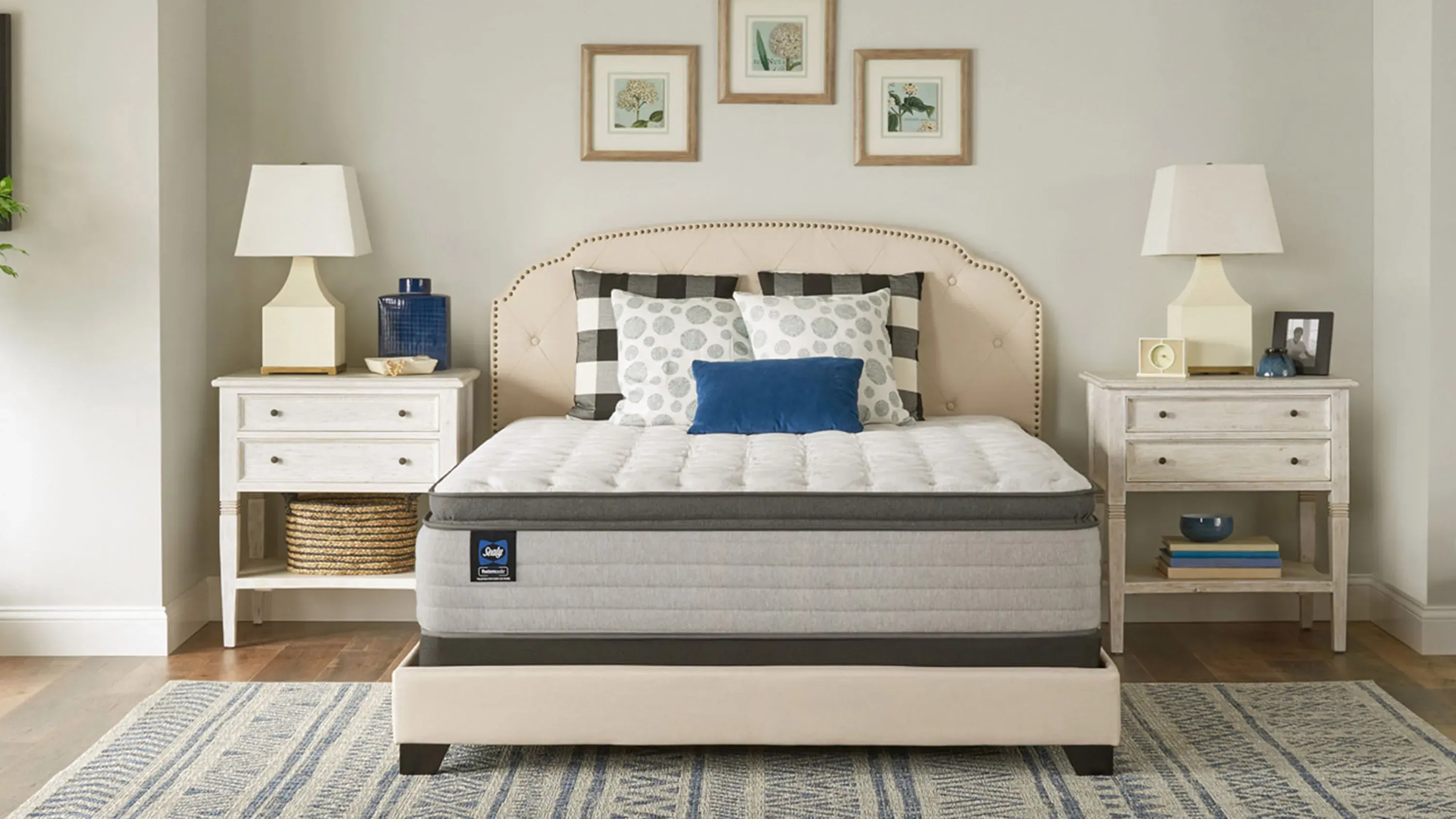 Sealy euro pillowtop online