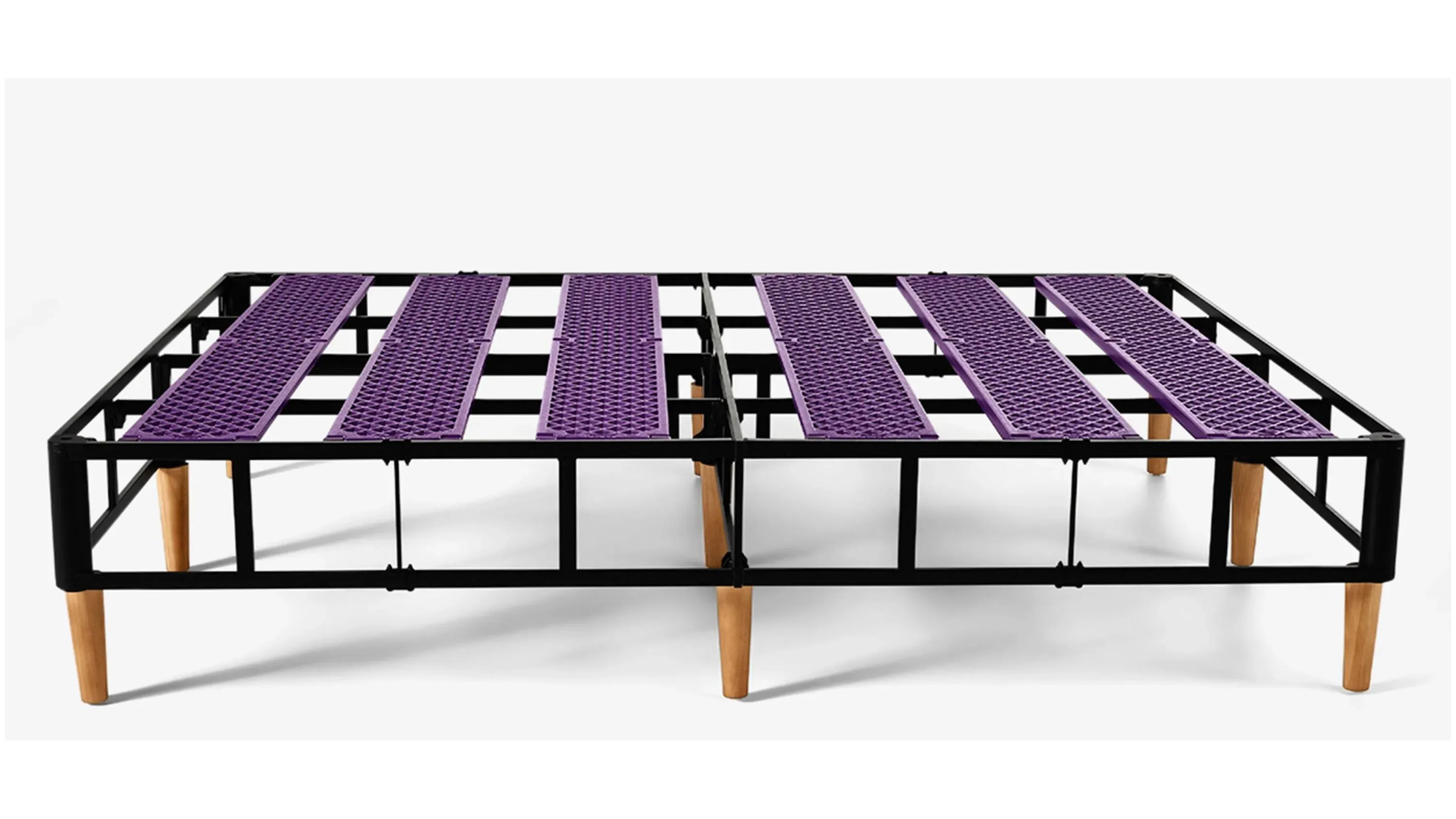 The Purple Foundation