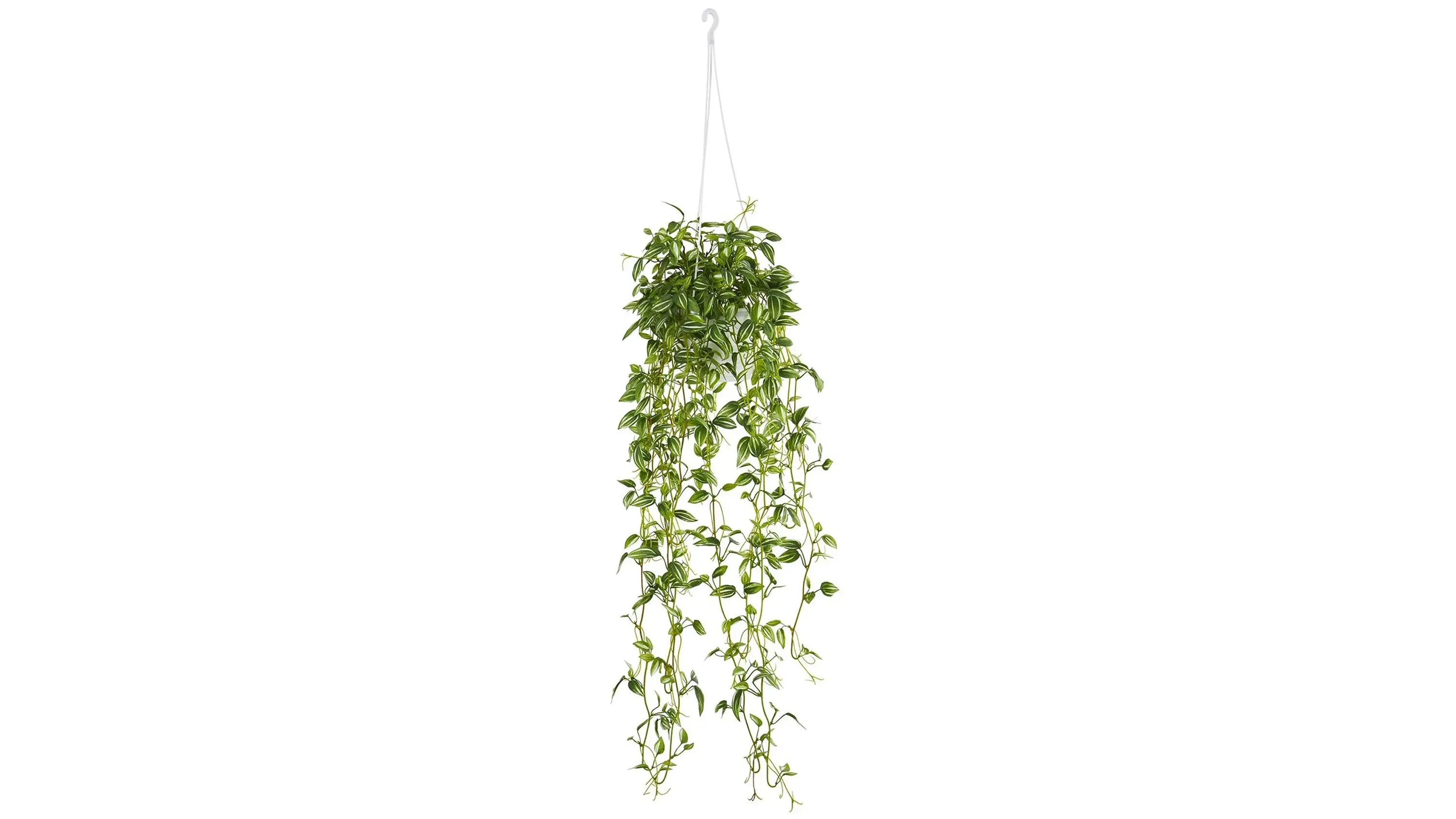 Green Variegated Wandering Jew Hanging Basket Artificial Plant | Raymour &  Flanigan | Raymour & Flanigan