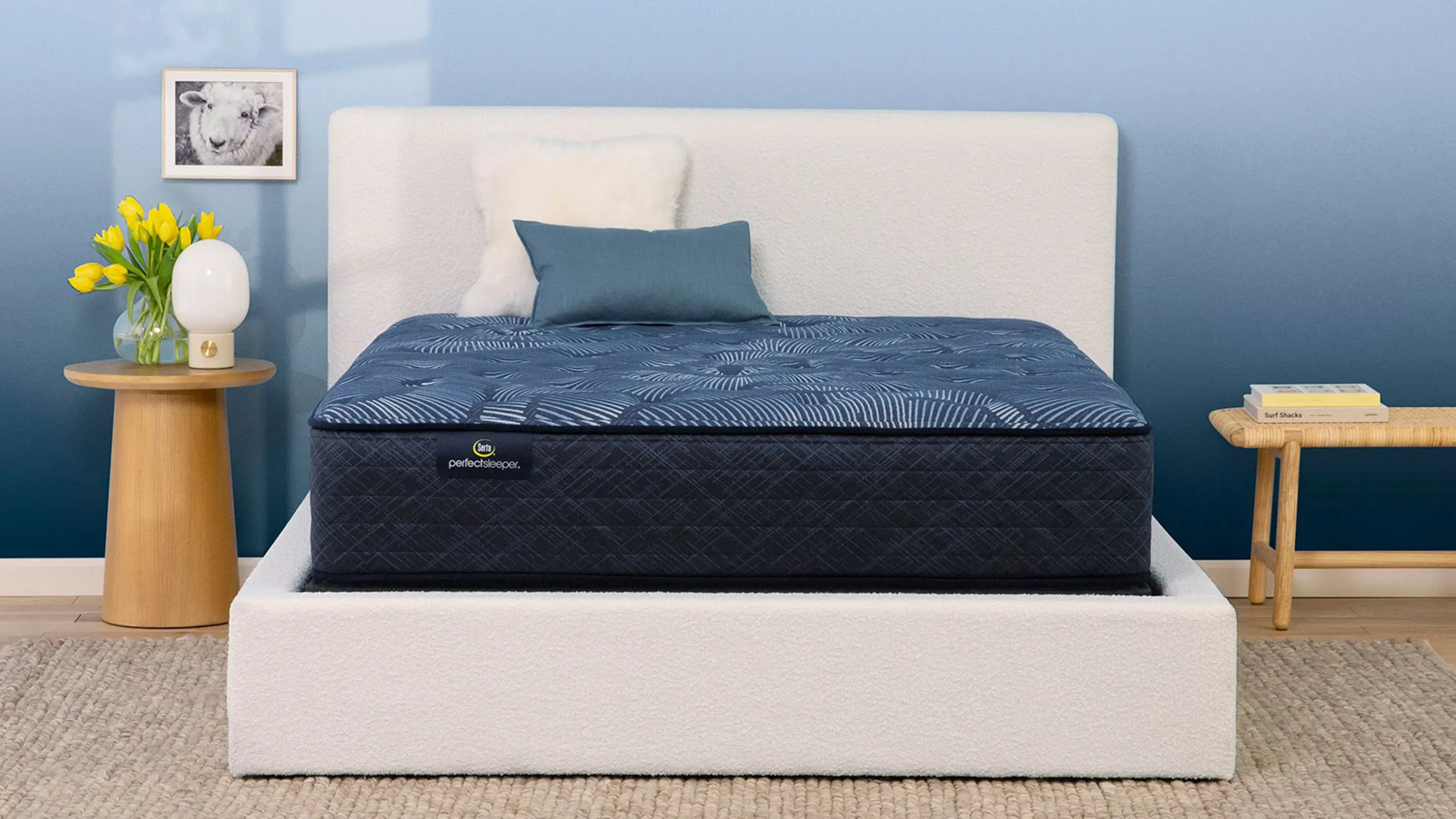 Serta Perfect Sleeper Cobalt Calm Plush Mattress | Raymour & Flanigan