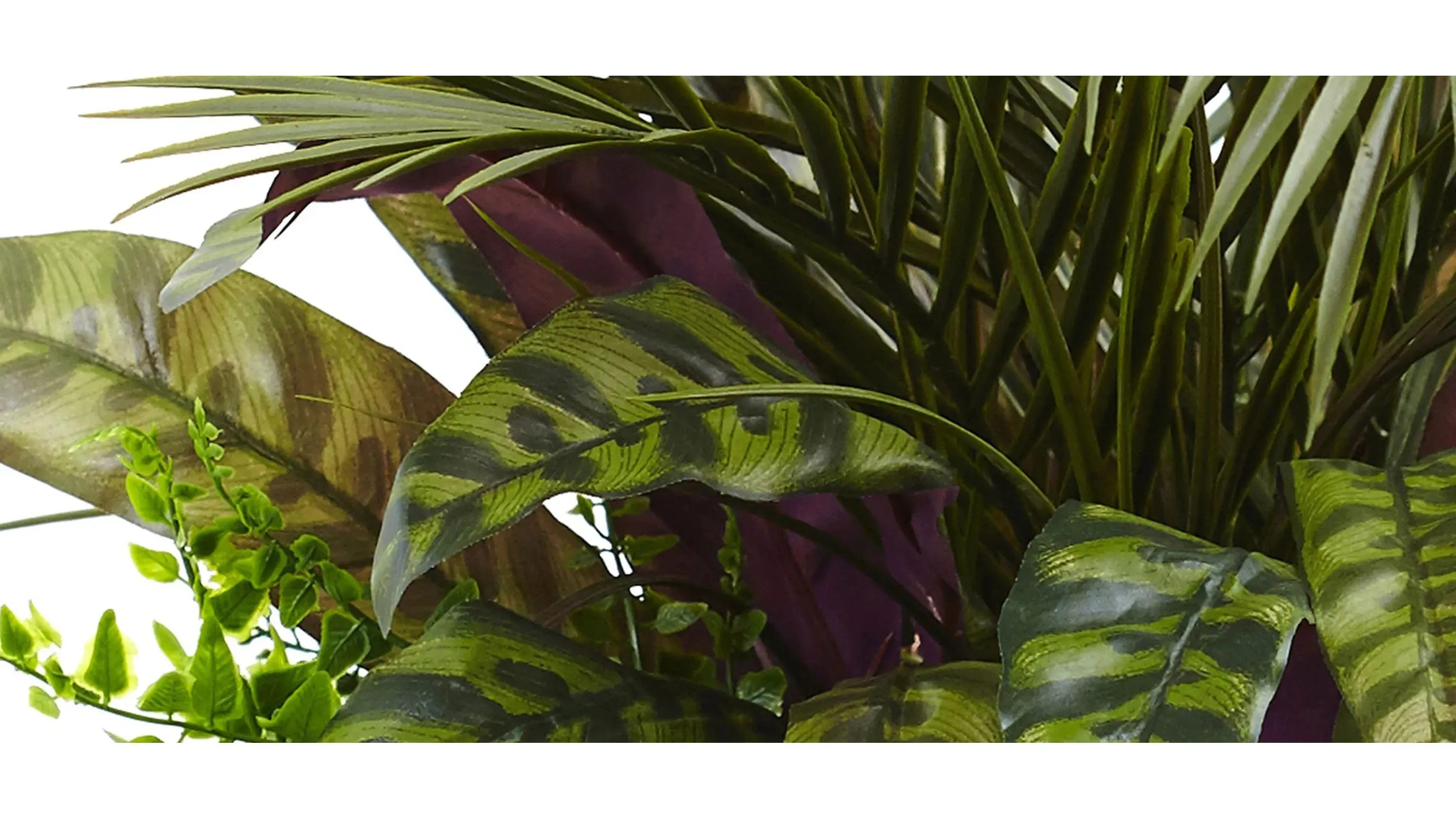 Mixed Areca Palm, Fern & Peacock with Planter | Raymour & Flanigan