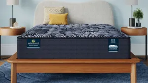 その他 CURERE  THE MATTRESS Serta Perfect Sleeper X Knox Plush Mattress | Raymour & Flanigan