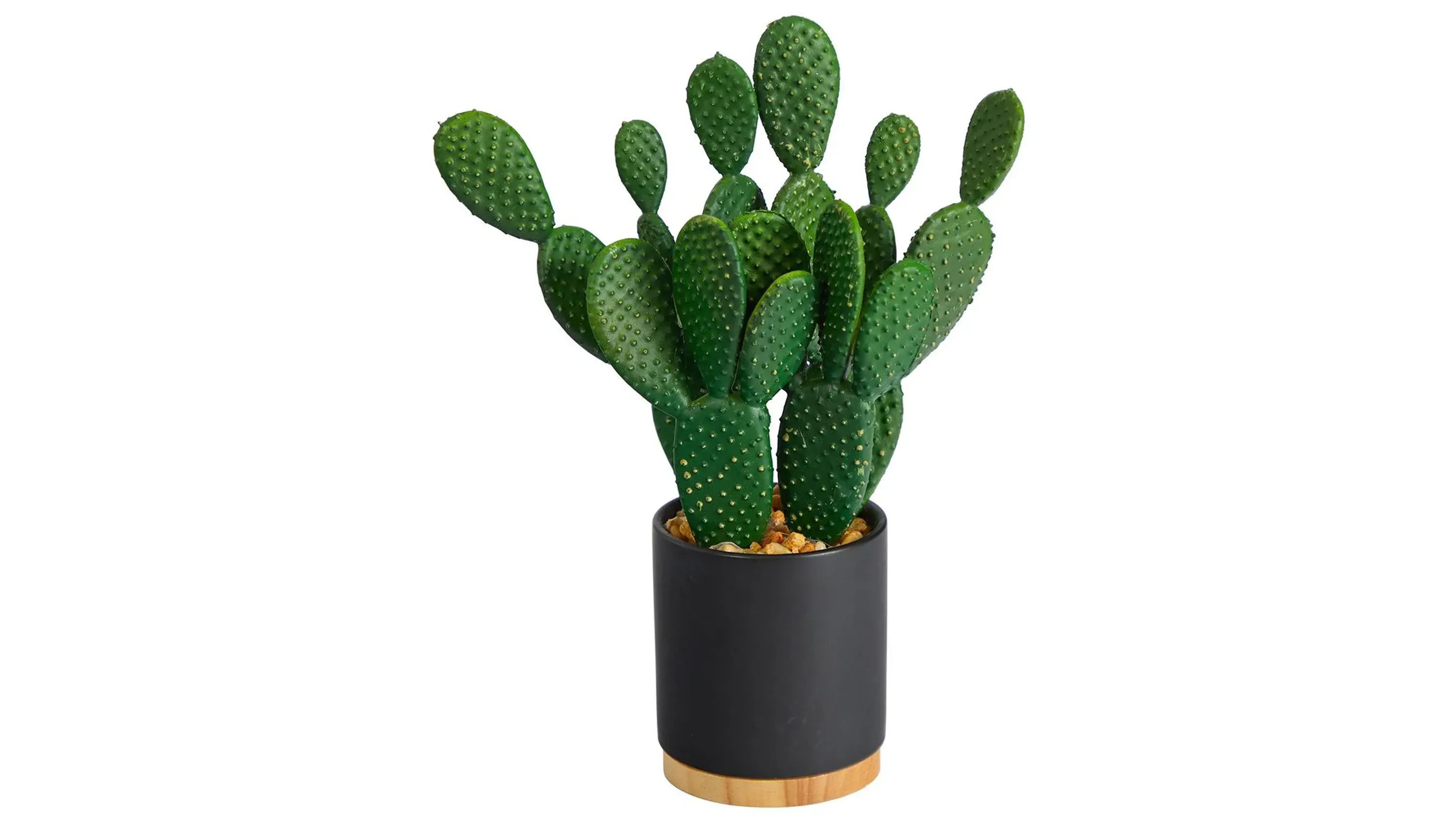10in. Cactus Succulent Artificial Plant in Planter