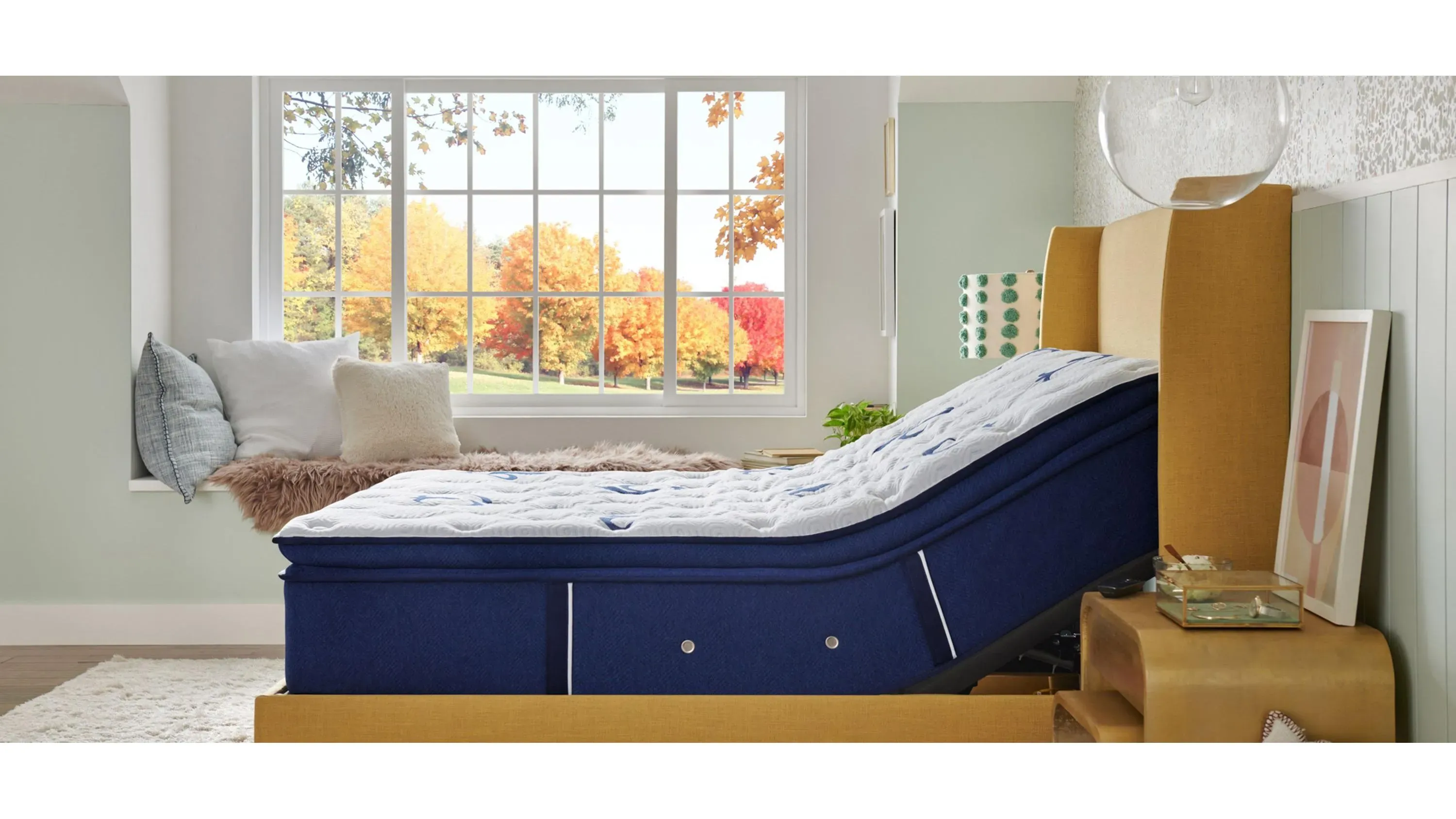 Stearns Foster Studio Split California King Medium Euro Pillow