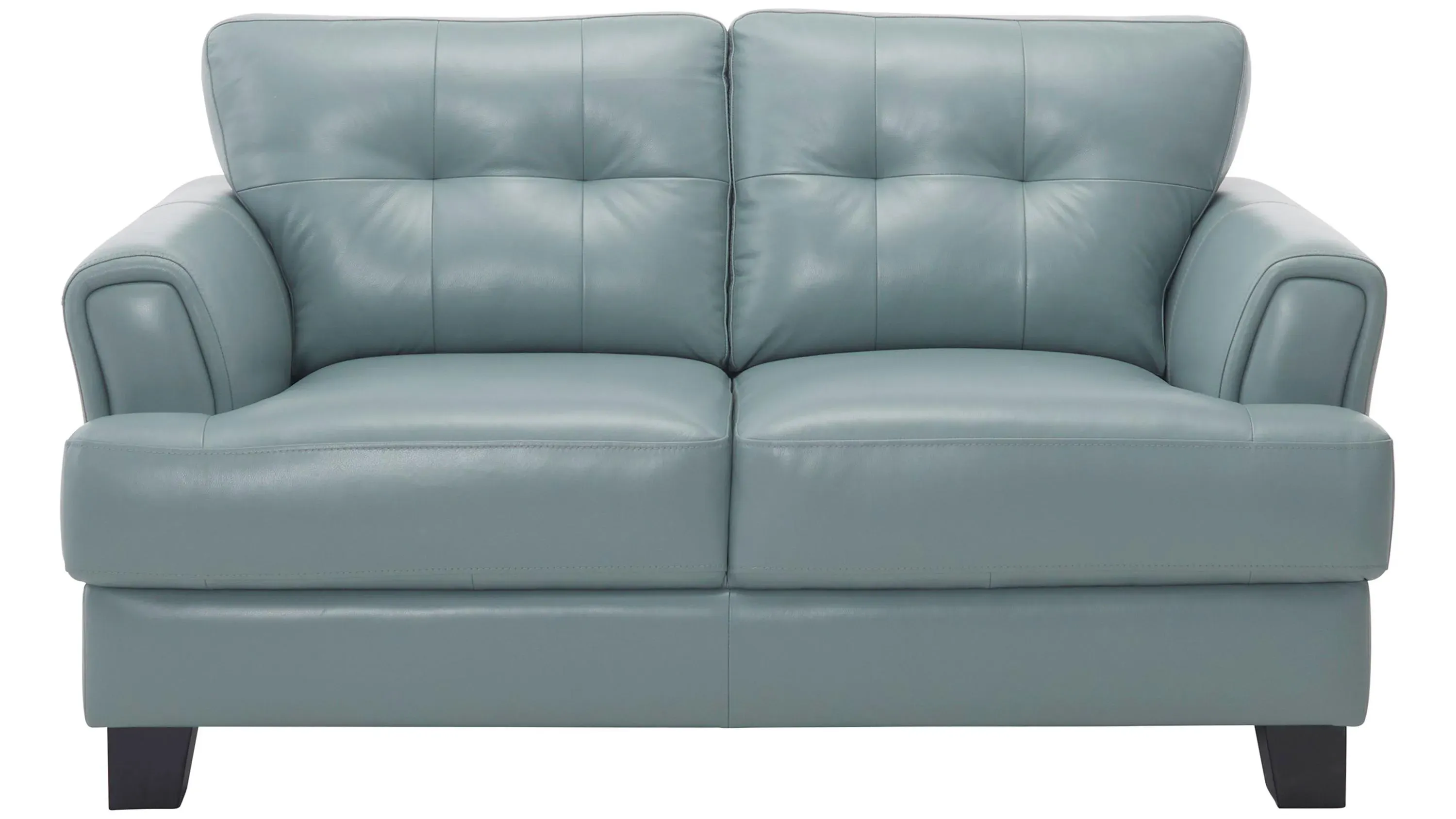 Diego Leather Loveseat | Raymour & Flanigan