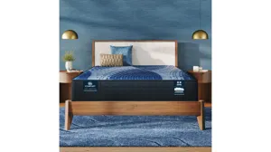 Serta iComfort Memory Foam Aspire Plush Mattress | Raymour & Flanigan