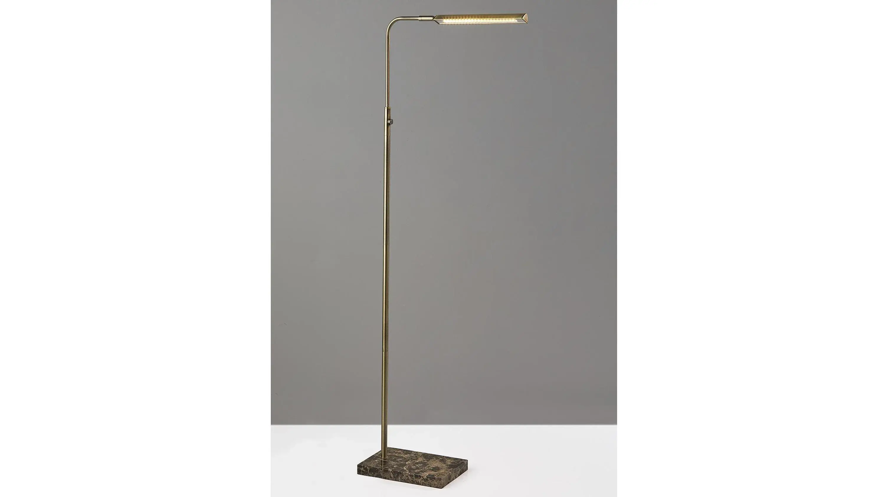 Reader LED Floor Lamp