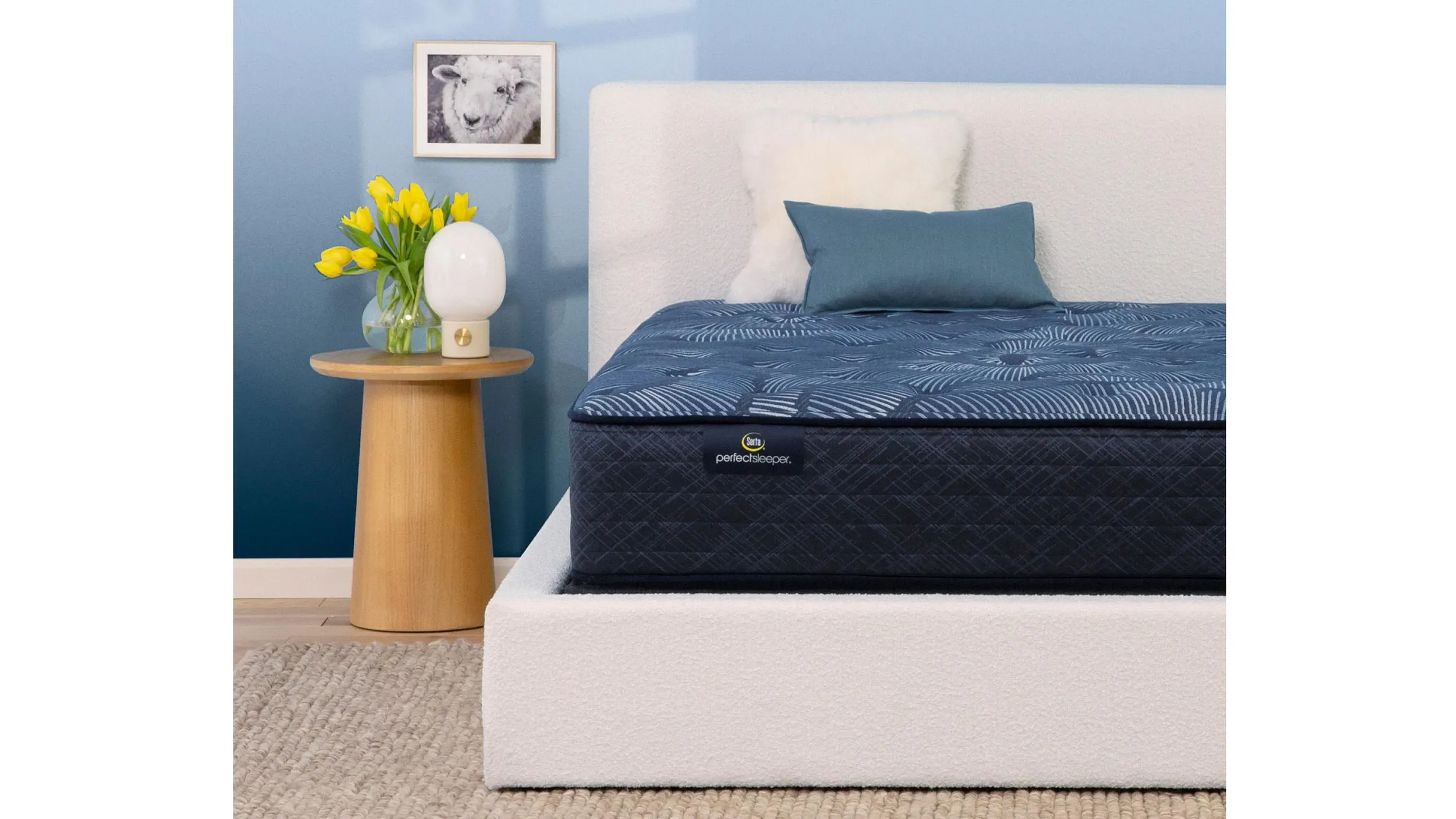 Serta Perfect Sleeper Cobalt Calm Plush Mattress | Raymour & Flanigan