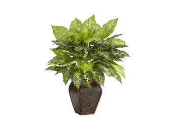 Dieffenbachia with Decorative Vase Silk Plant  Product_Grid_Image