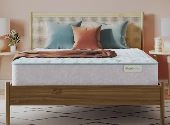 BeautySleep Springscape Firm Mattress Queen Product_Grid_Image