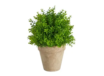 8in. Boxwood Artificial Plant in Decorative Planter  Product_Grid_Image