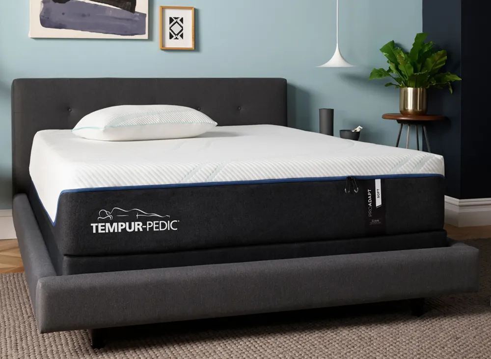 Tempur-Pedic TEMPUR-ProAdapt Soft Memory Foam Queen Mattress